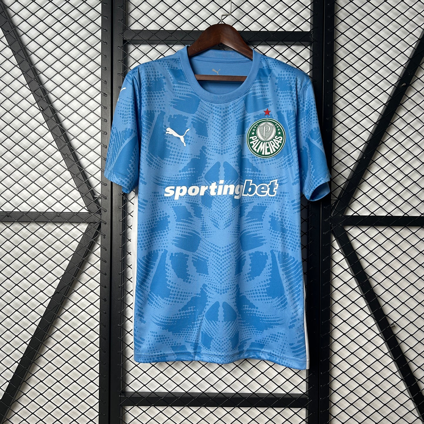 Camisola Palmeiras - Guarda-Redes 2025/26