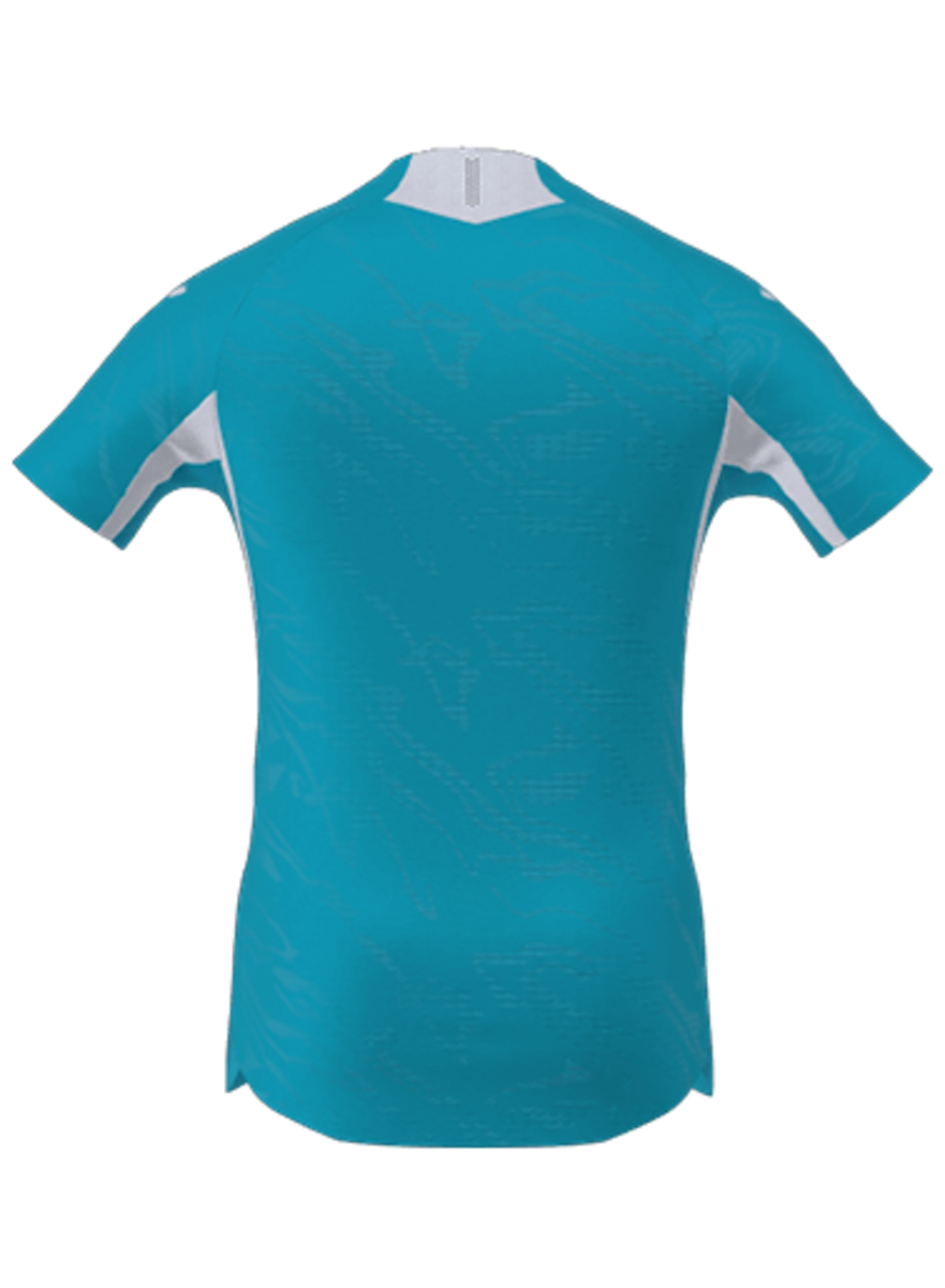 Camisola Hoffenheim - Alternativa 2025/2026