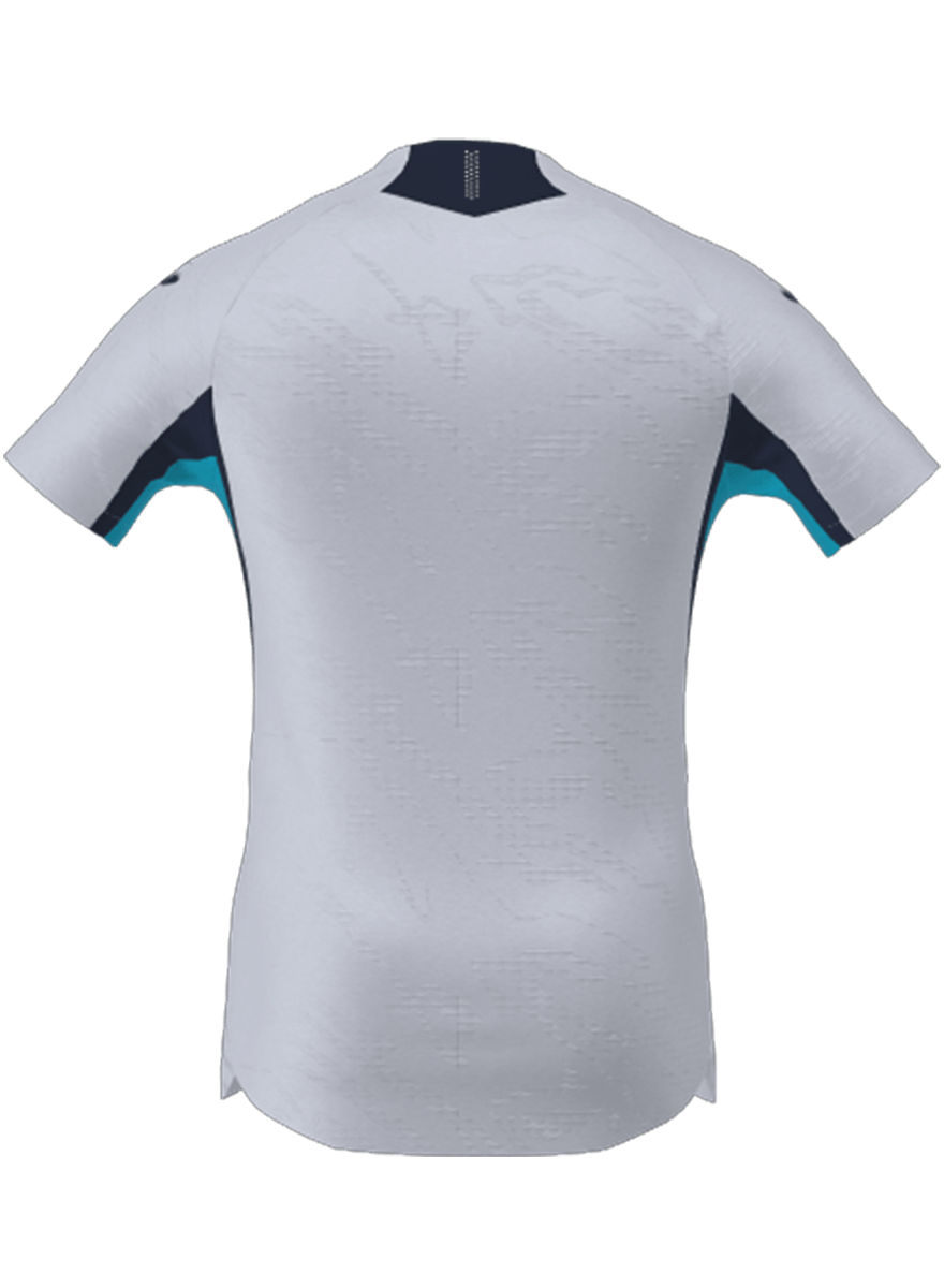 Hoffenheim Home Shirt 2024/2025