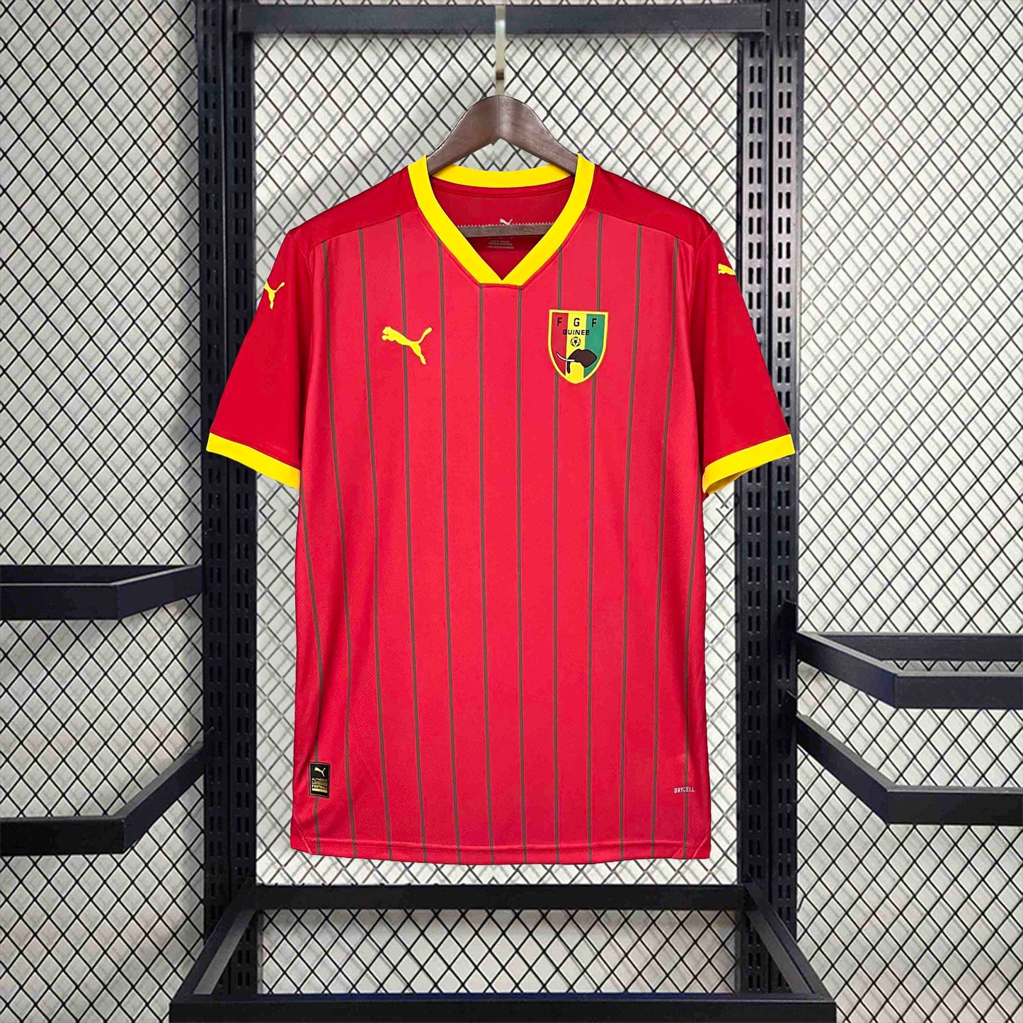 Guinea Home Shirt 2024/25