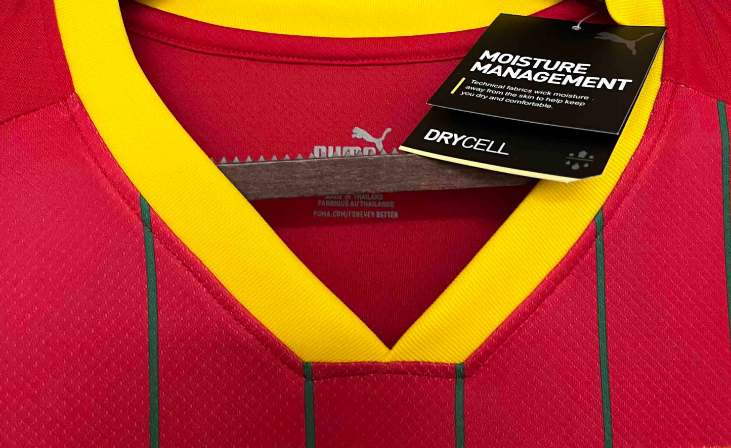 Guinea Home Shirt 2024/25