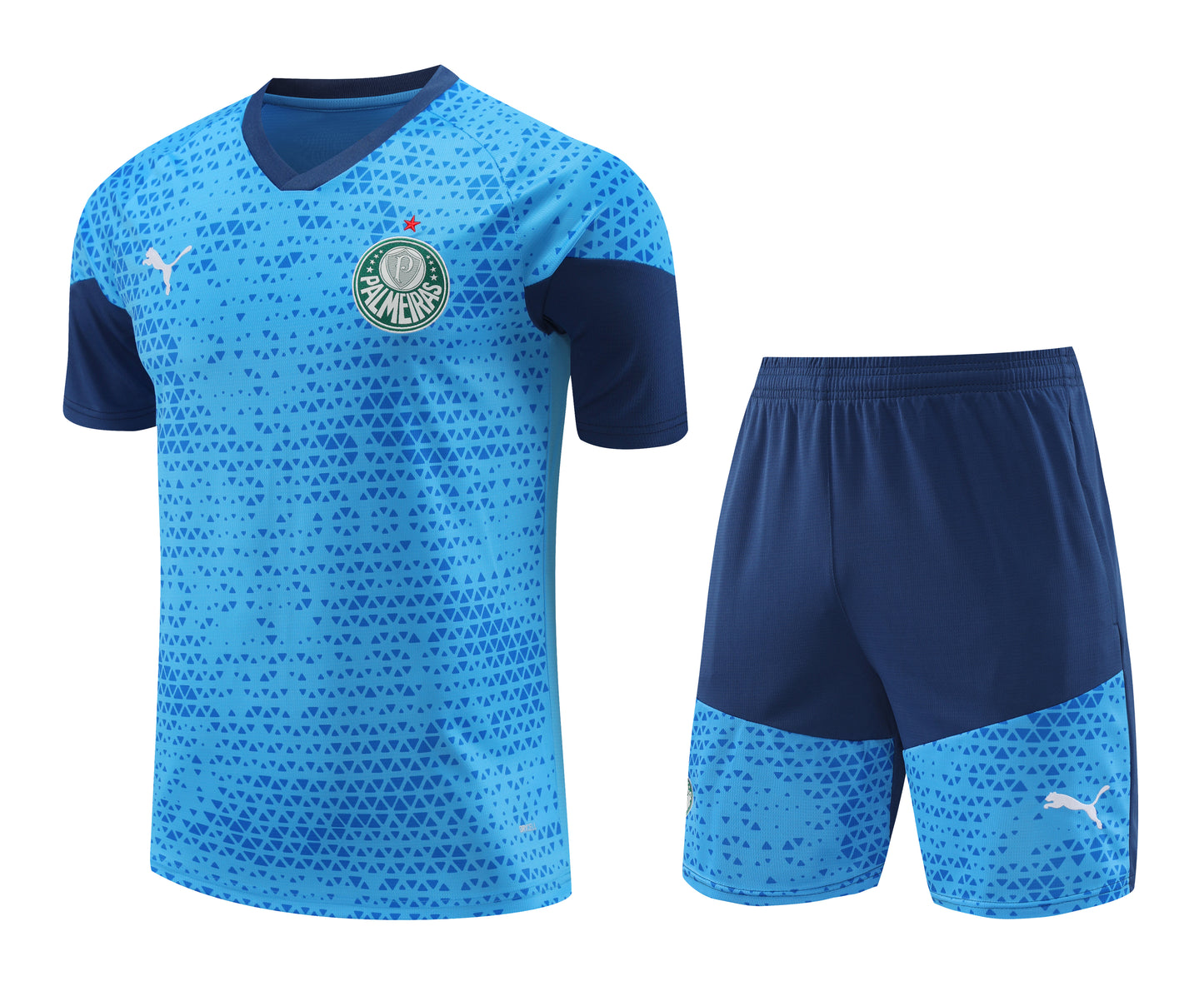 Kit de entrenamiento - Adulto Palmeiras 2024/25