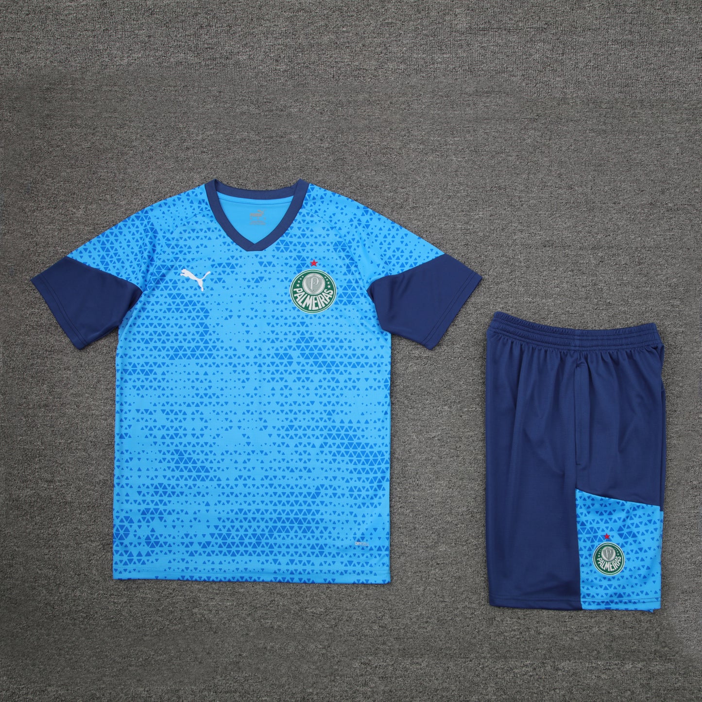 Kit de entrenamiento - Adulto Palmeiras 2024/25