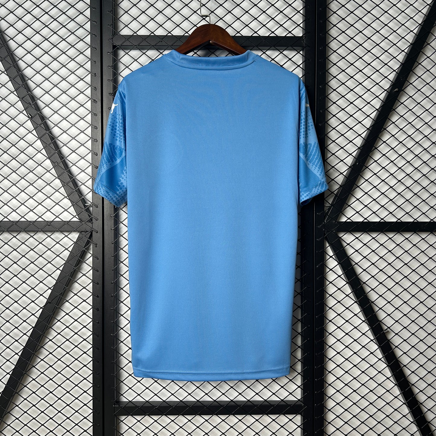 Camisola Palmeiras - Guarda-Redes 2025/26