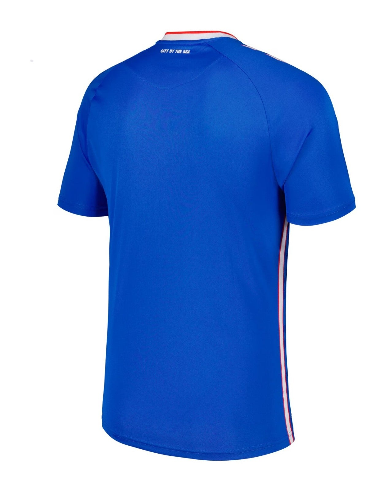 Camiseta Leeds United - Primera 2024/25
