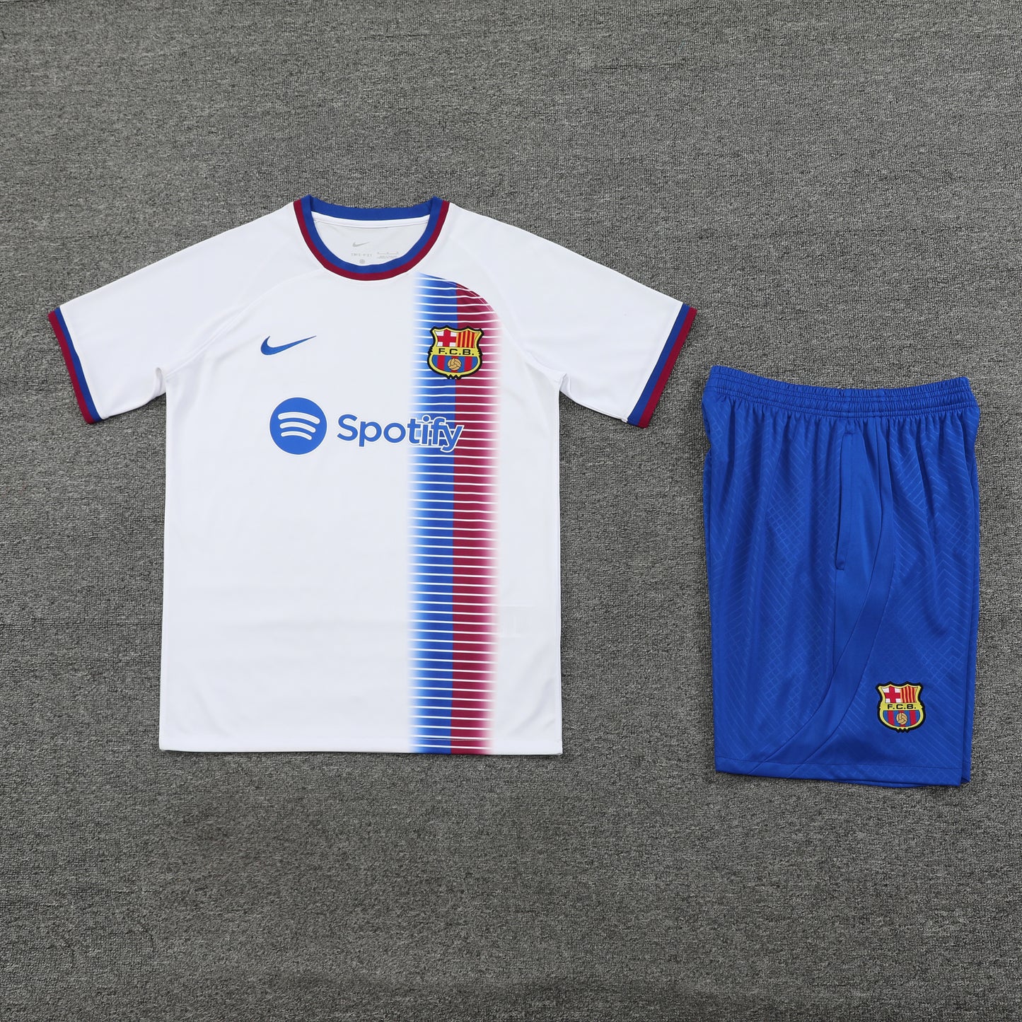 Kit de Treino - Adulto Barcelona 2024/25