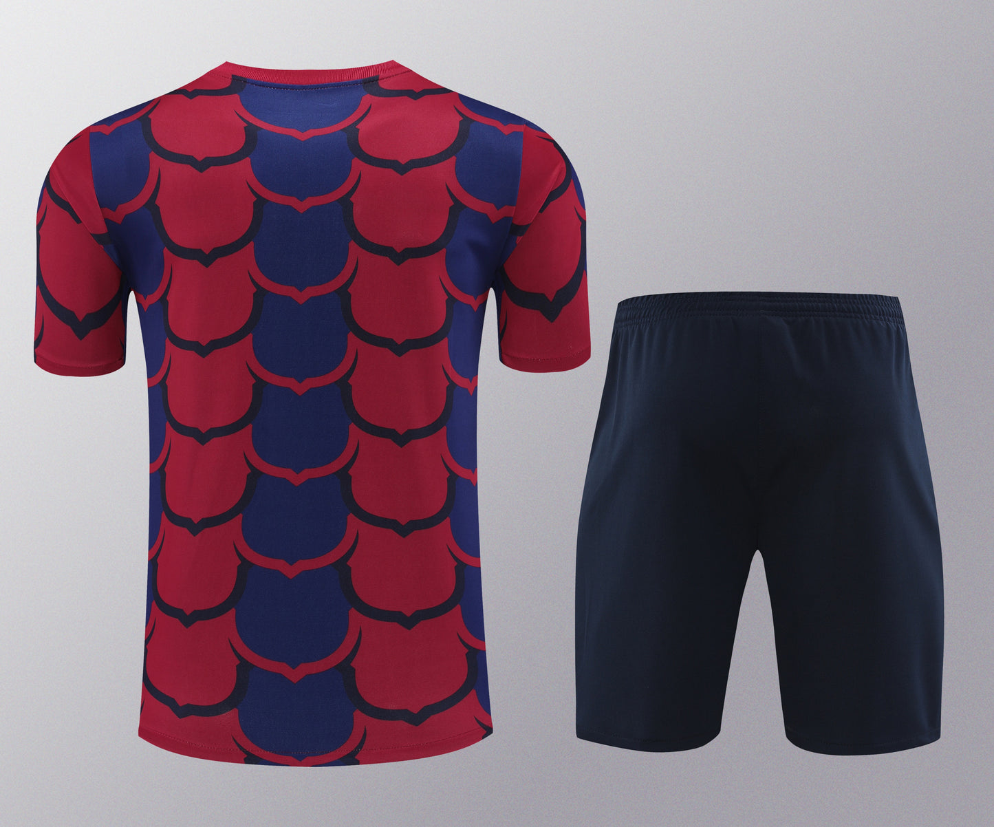 Kit de Treino - Adulto Barcelona 2024/25