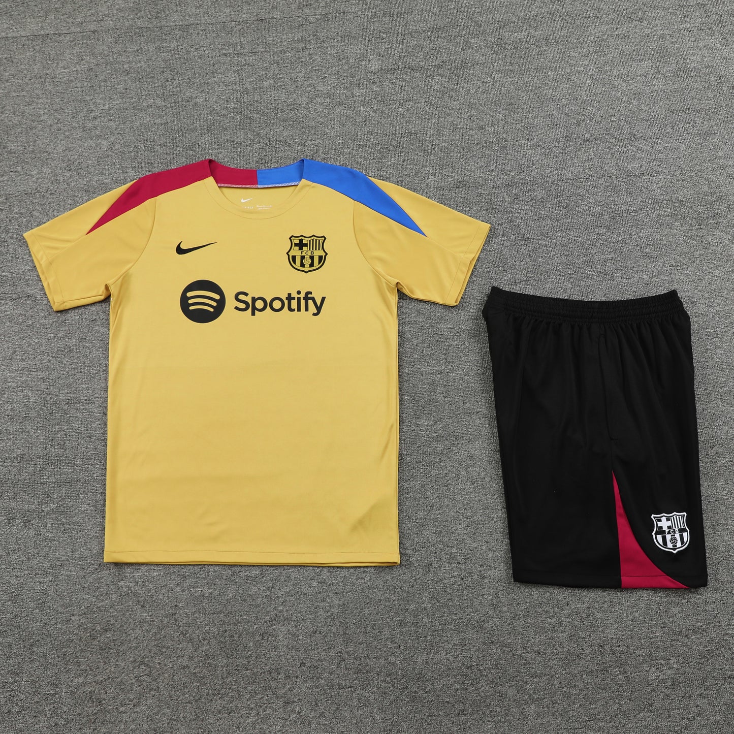 Kit de Treino - Adulto Barcelona 2024/25