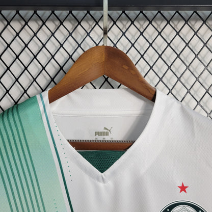 Camisola Palmeiras - Alternativa 2023/2024