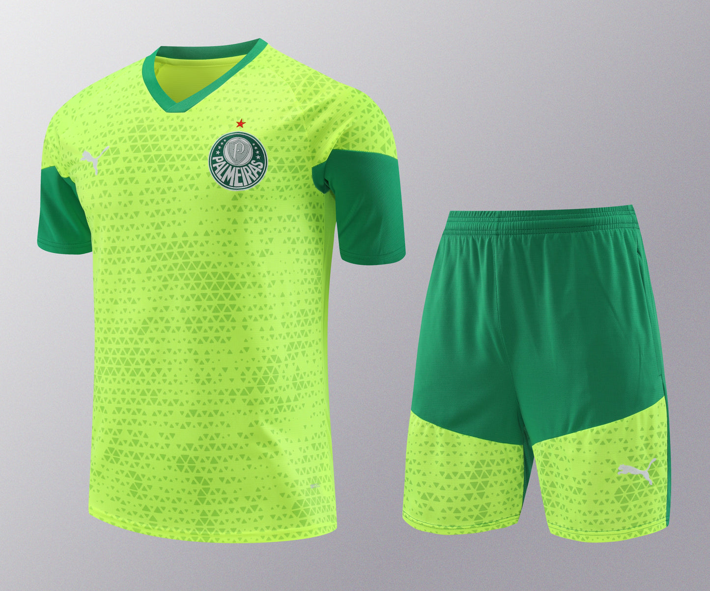 Kit de Treino - Adulto Palmeiras 2024/25