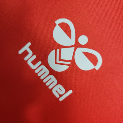 Denmark 2023 Home Jersey