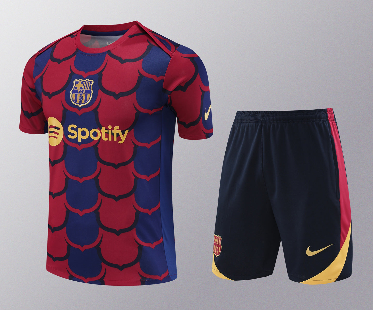 Kit de Treino - Adulto Barcelona 2024/25