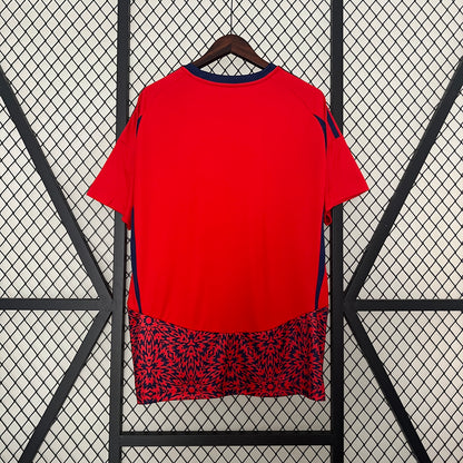 Camisola Costa Rica - Principal 2024/25