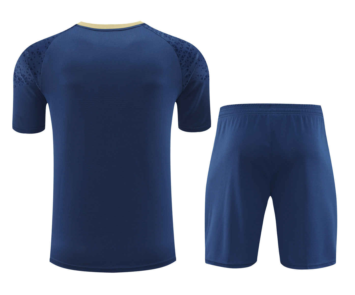 Kit de Treino - Adulto Palmeiras 2024/25