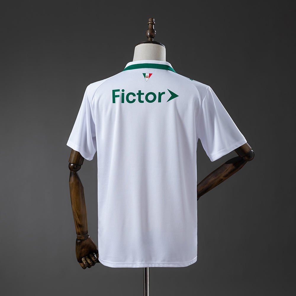 Camisola Palmeiras - Alternativa 2026/27