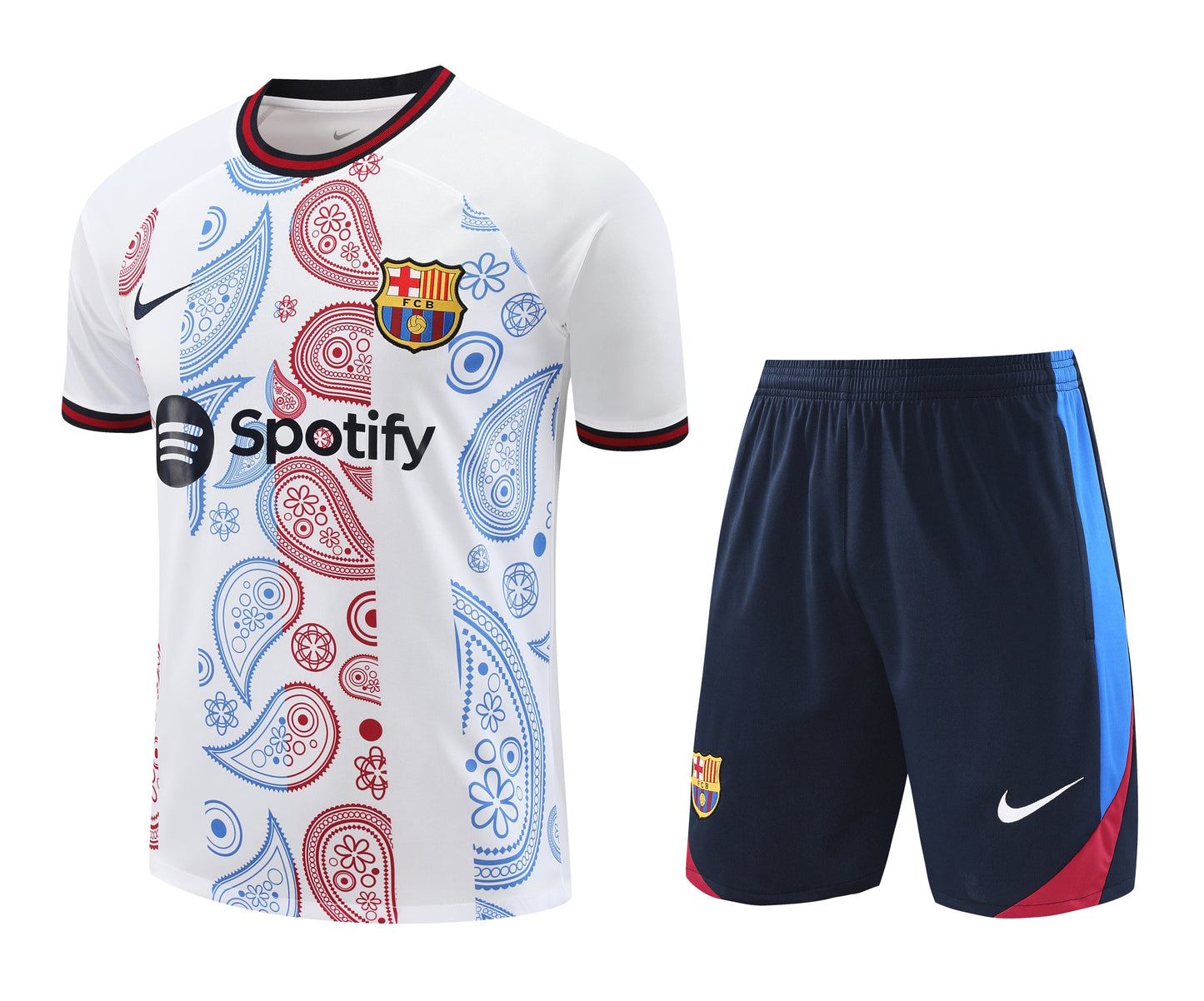 Kit de Treino - Adulto Barcelona 2024/25