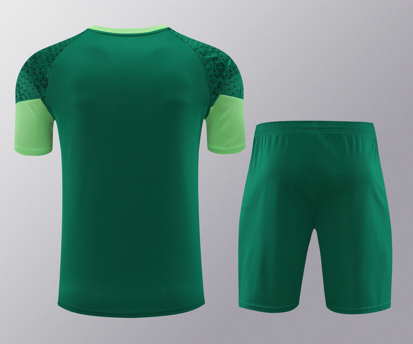 Kit de Treino - Adulto Palmeiras 2024/25