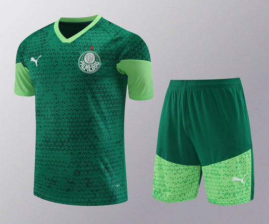 Kit de Treino - Adulto Palmeiras 2024/25