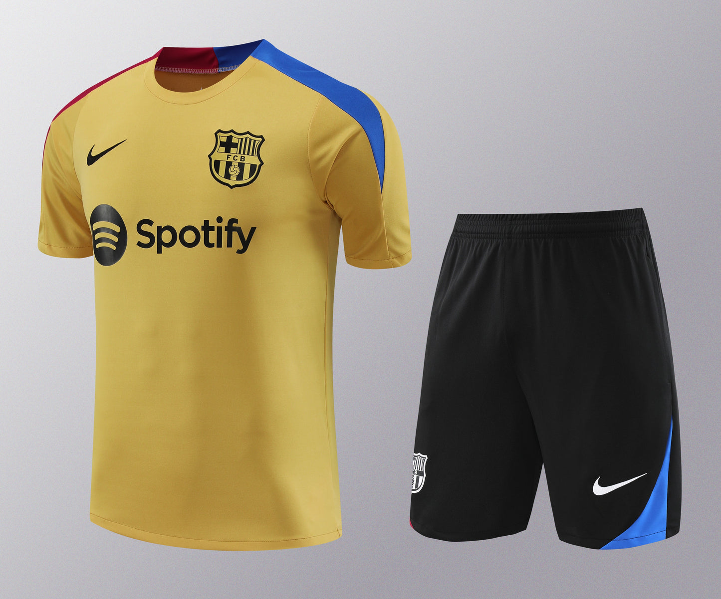 Kit de Treino - Adulto Barcelona 2024/25