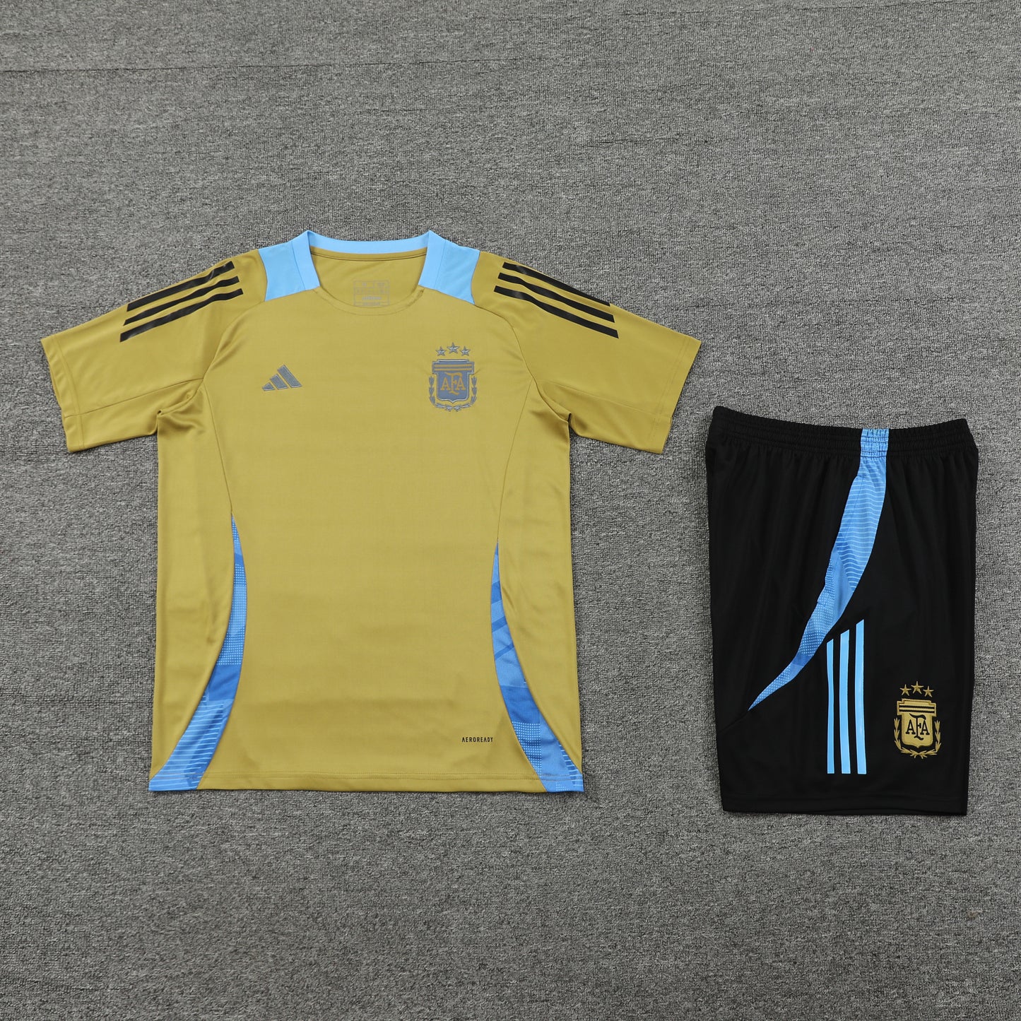 Kit de Treino - Adulto Argentina 2024/25