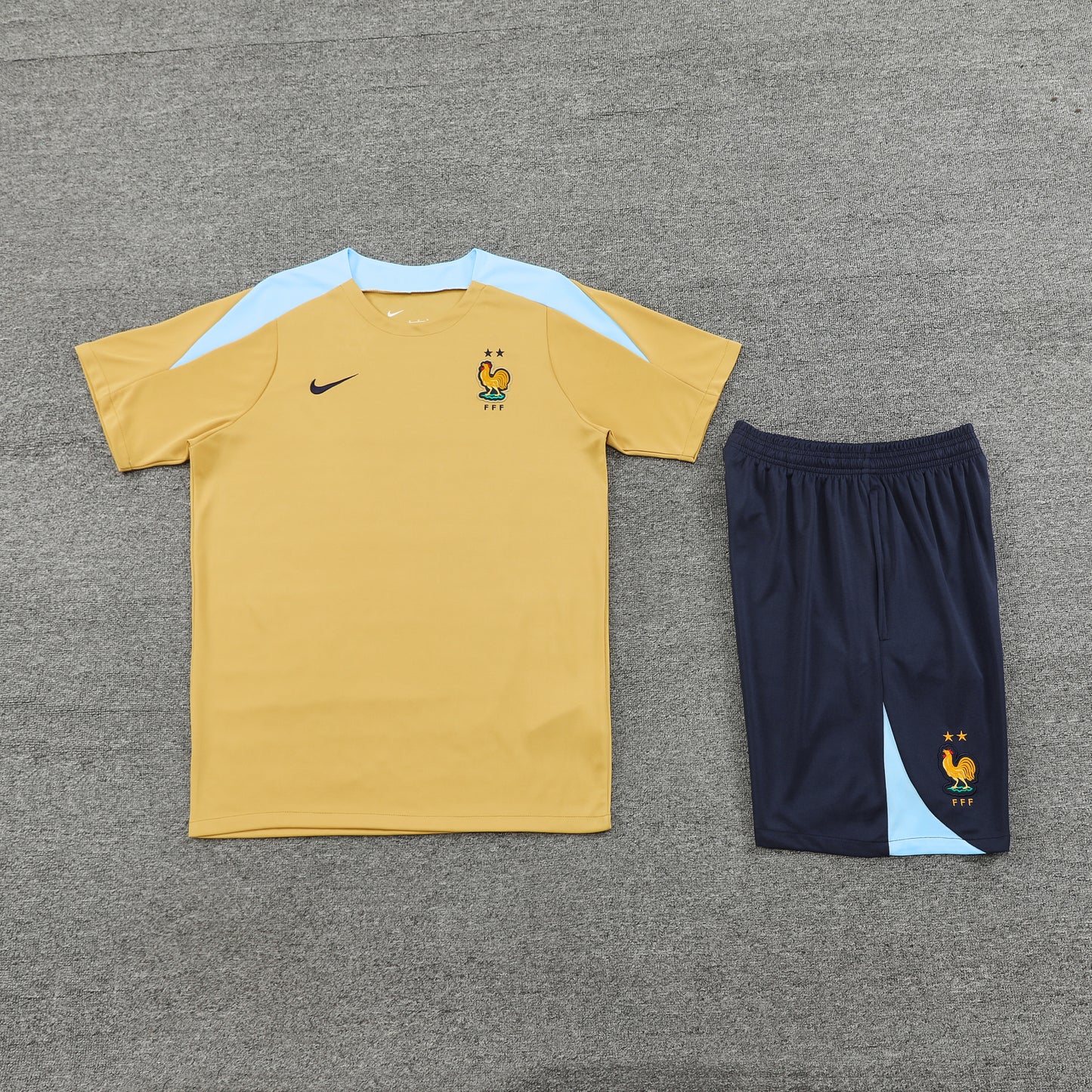 Kit de Treino - Adulto França 2024/25