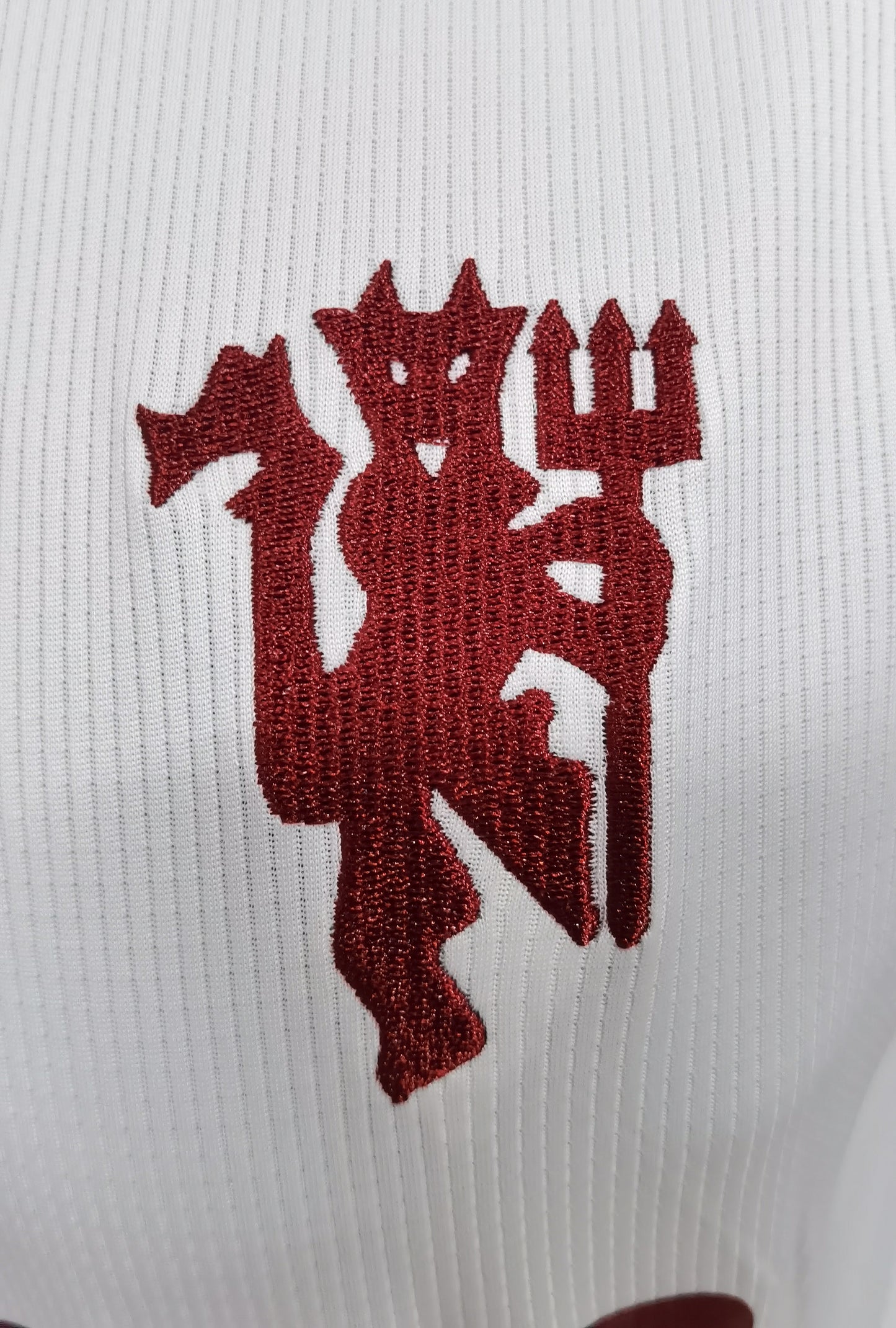 Camisola Alternativa Manchester United 2023/2024