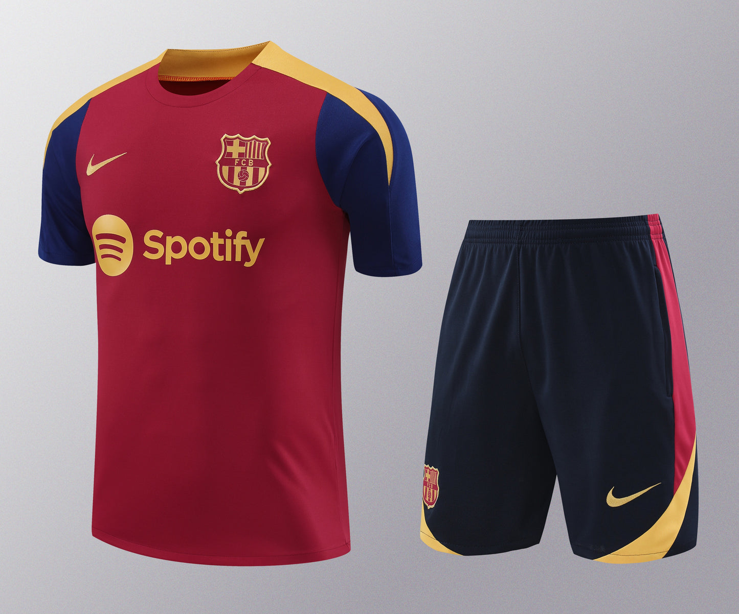 Kit de Treino - Adulto Barcelona 2024/25