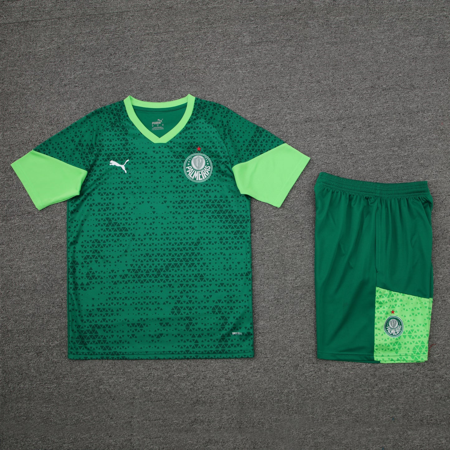 Kit de Treino - Adulto Palmeiras 2024/25