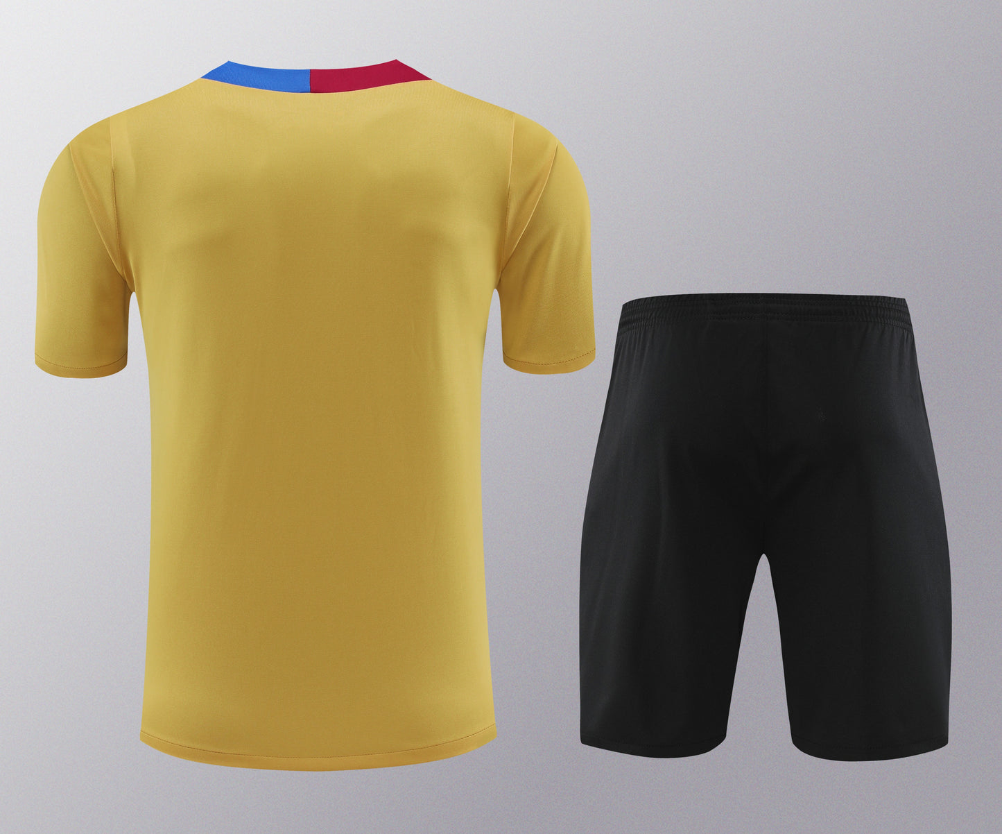 Kit de Treino - Adulto Barcelona 2024/25