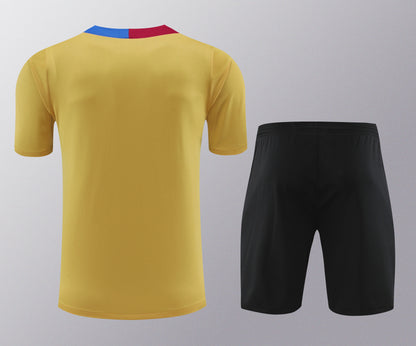 Kit de entrenamiento - Adulto Barcelona 2024/25
