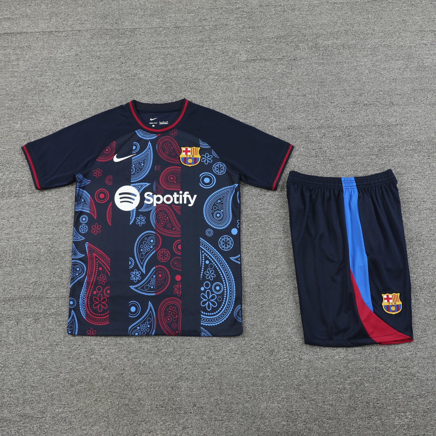 Kit de Treino - Adulto Barcelona 2024/25