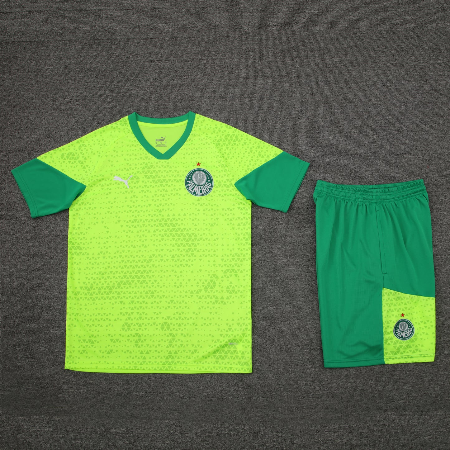 Kit de Treino - Adulto Palmeiras 2024/25