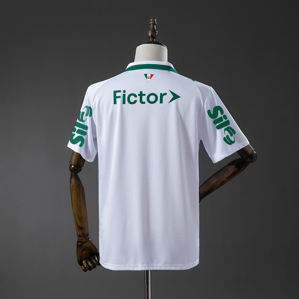 Camisola Palmeiras - Alternativa 2026/27