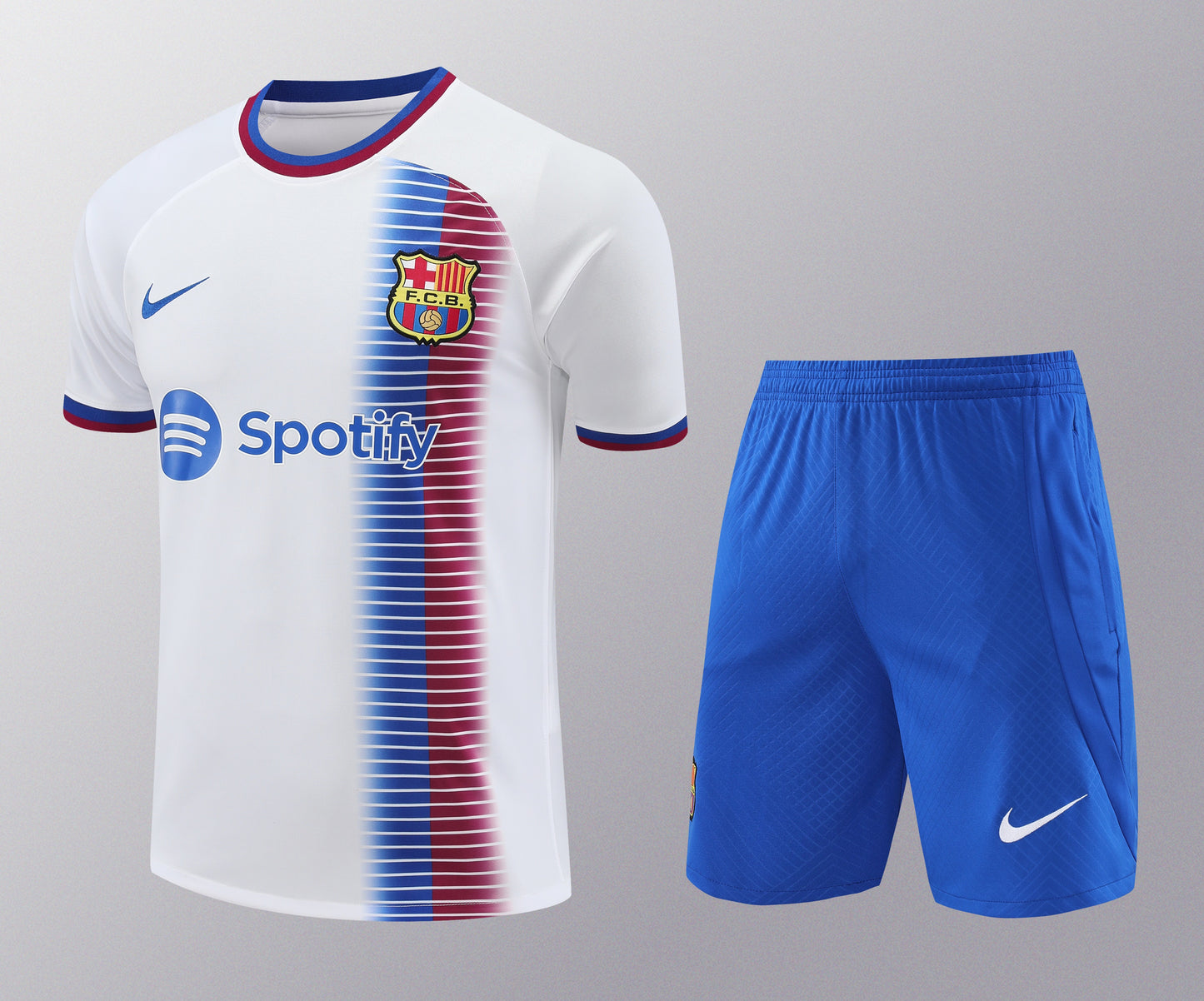 Kit de Treino - Adulto Barcelona 2024/25