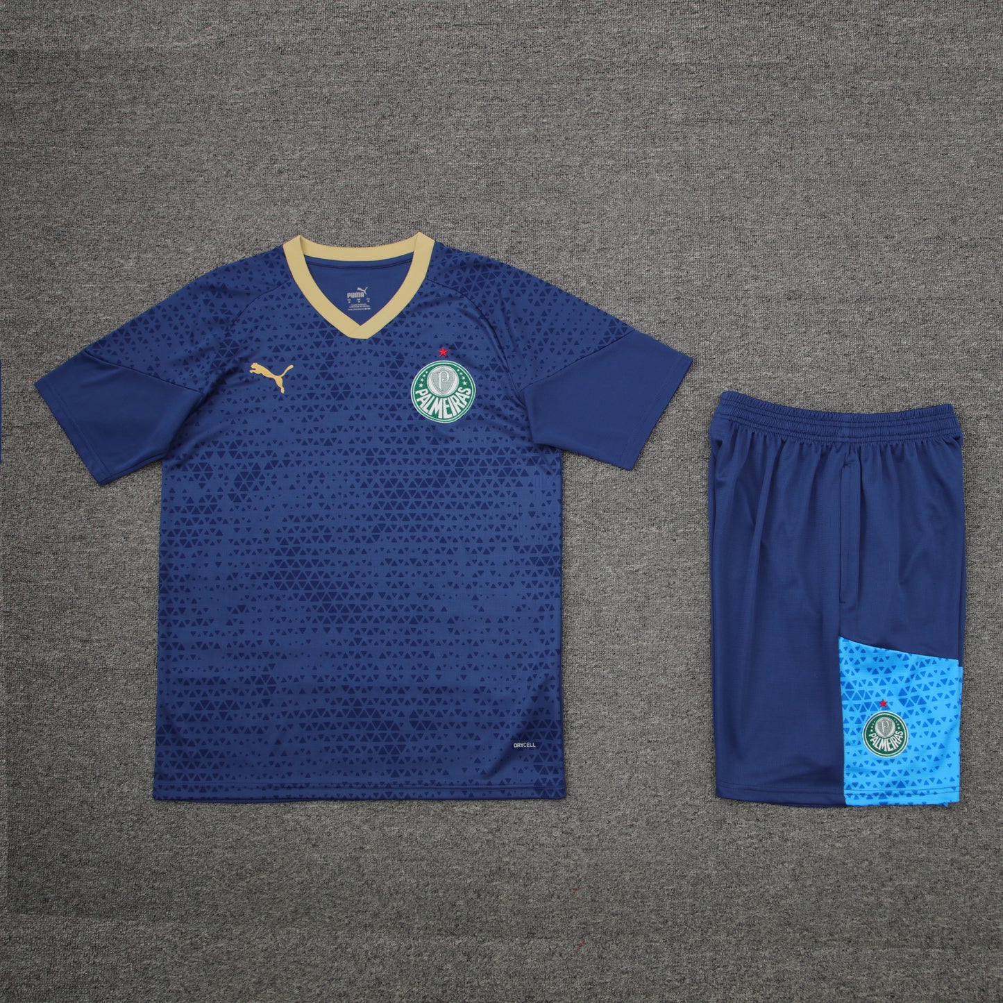 Kit de Treino - Adulto Palmeiras 2024/25