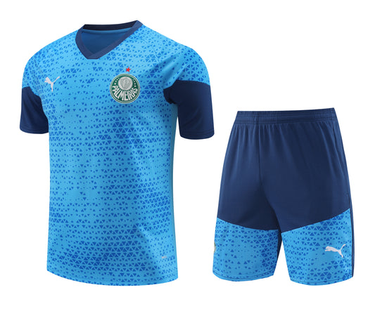 Kit de Treino - Adulto Palmeiras 2024/25