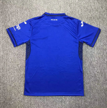 Camiseta Hoffenheim - Primera 2024/2025
