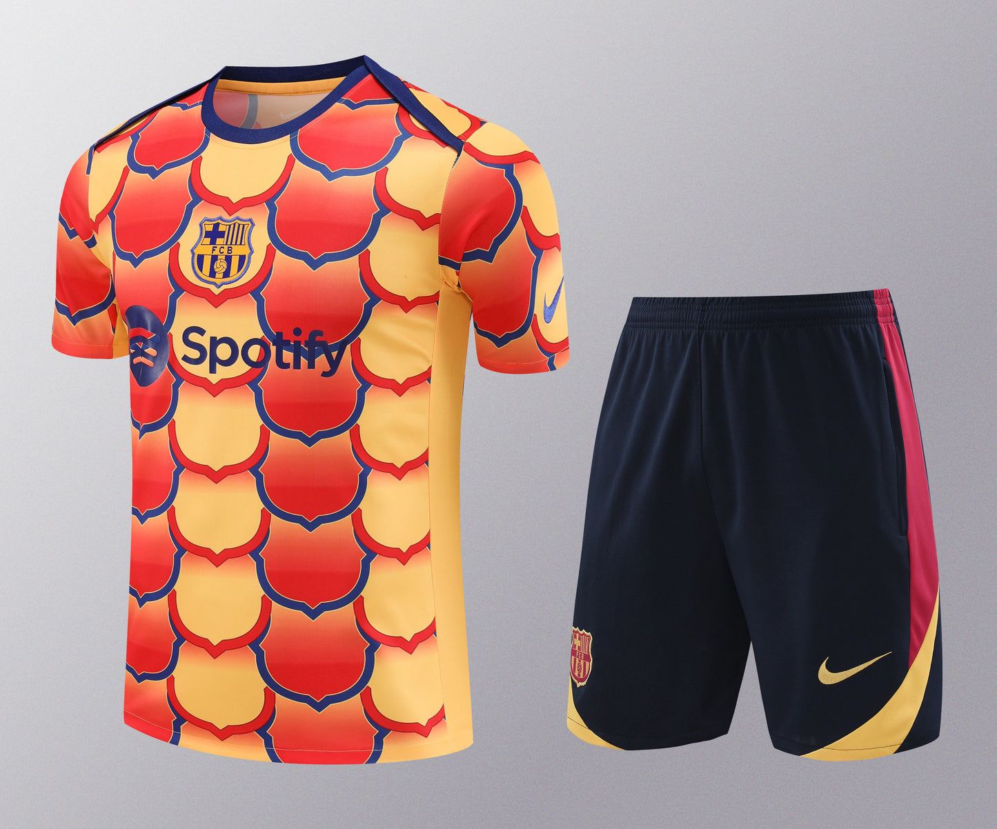 Kit de Treino - Adulto Barcelona 2024/25