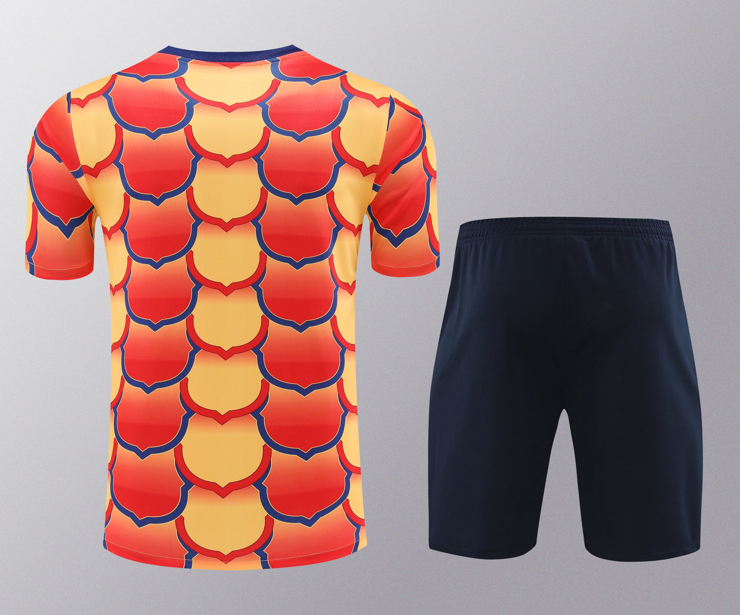 Kit de Treino - Adulto Barcelona 2024/25