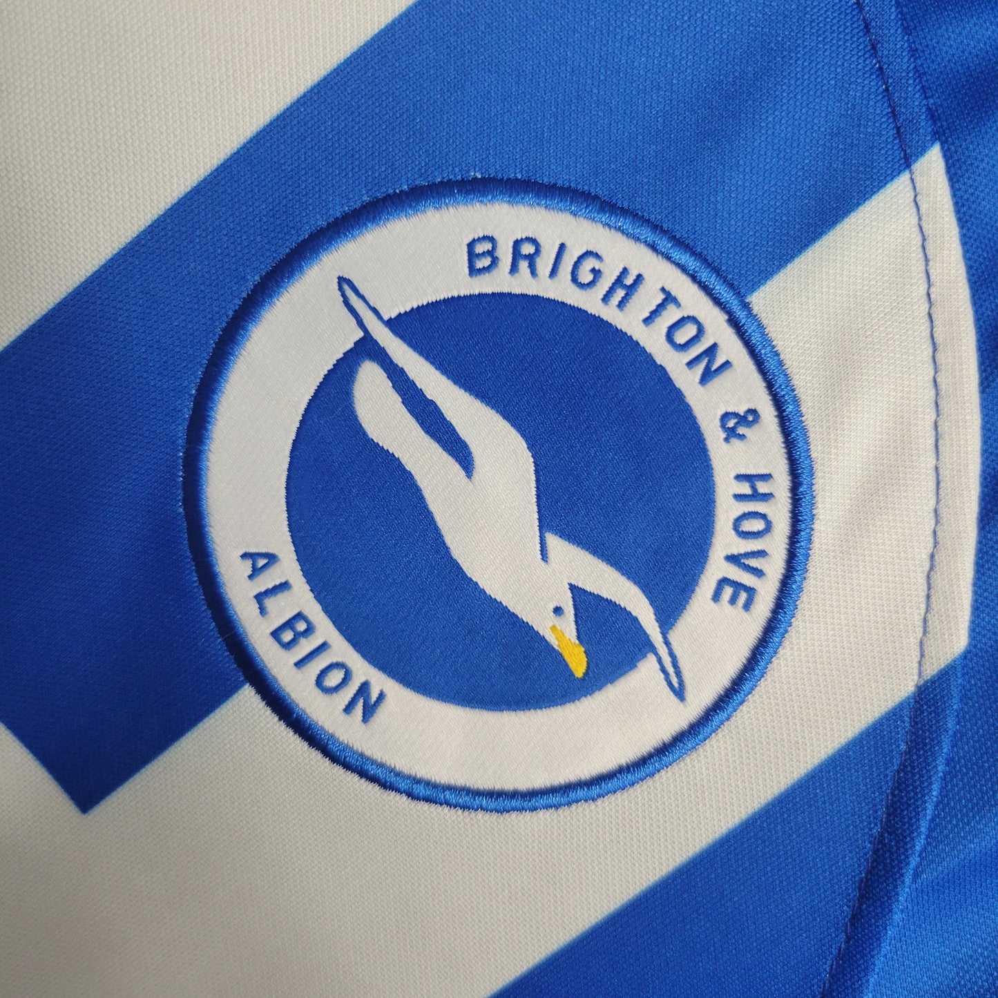 Camisola Principal Brighton 2023/2024