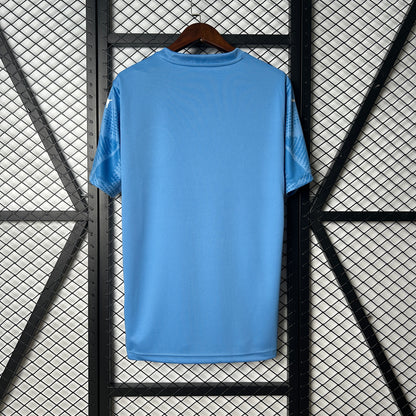 Camisola Palmeiras - Guarda-Redes 2025/26