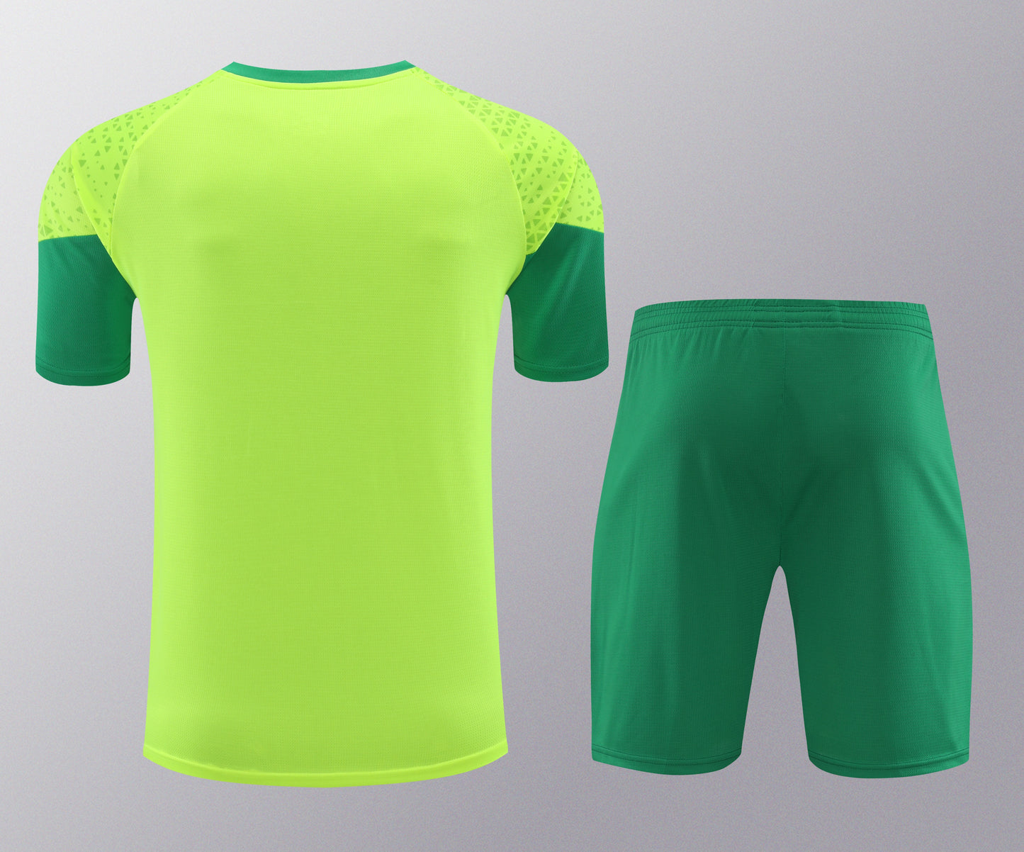 Kit de Treino - Adulto Palmeiras 2024/25