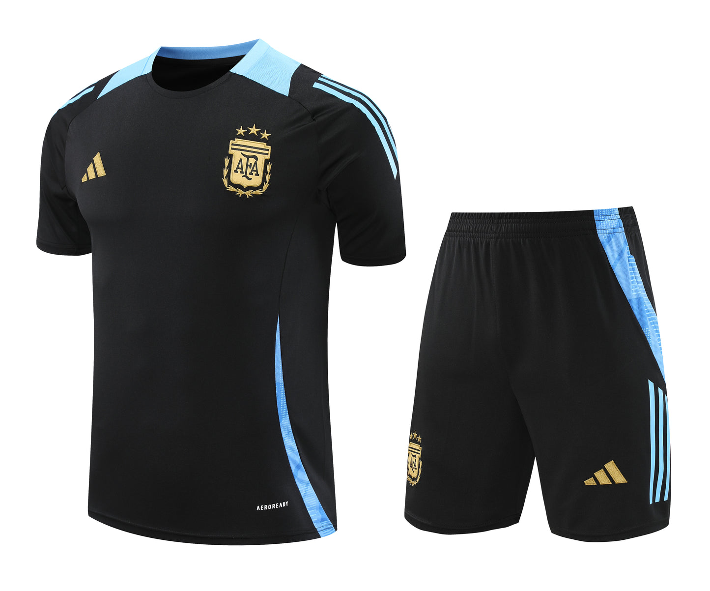 Kit de Treino - Adulto Argentina 2024/25