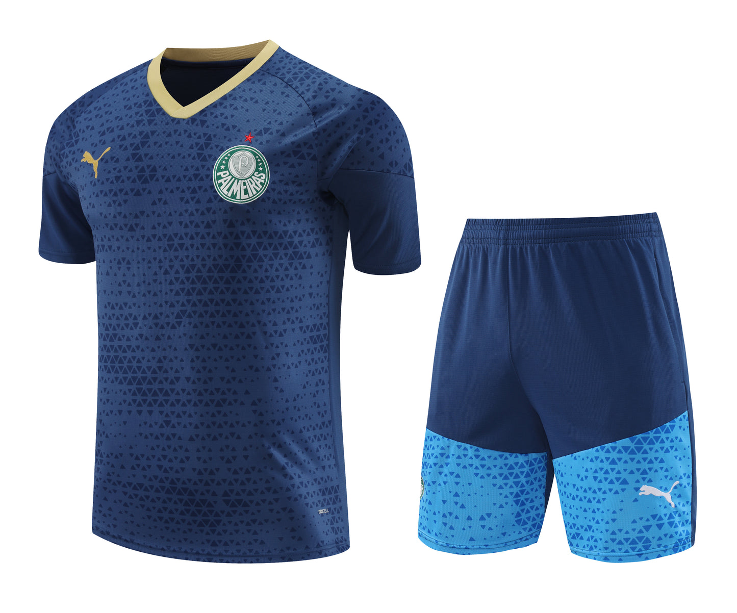 Kit de Treino - Adulto Palmeiras 2024/25