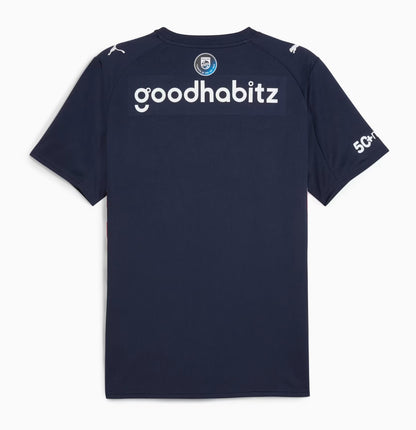 Camisola PSV  - Alternativa 2025/2026